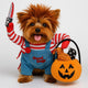 Dog Halloween Costumes