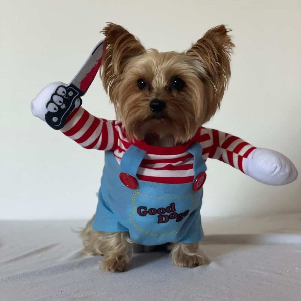 Dog Halloween Costumes