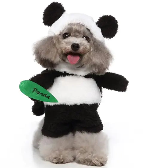 Dog Halloween Costumes