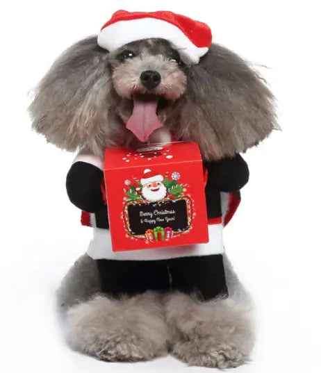 Dog Halloween Costumes