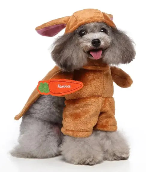 Dog Halloween Costumes