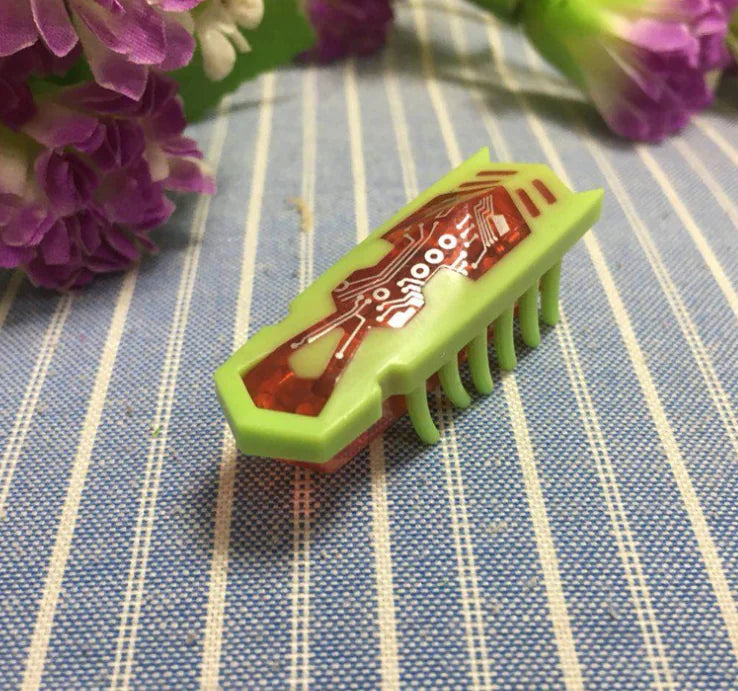 Electric Mouse Interactive Cat Toy with Beetle